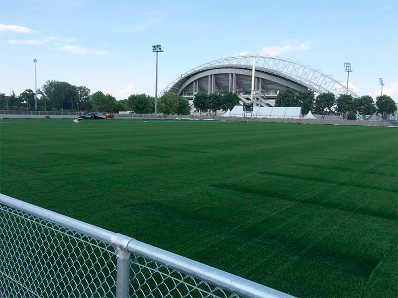 CLERMONT FOOT 63, France, Domo® Varioslide S pro