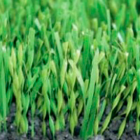 Искусственная трава для регби DOMO® VARIOSLIDE S PRO 65