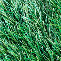 искусственная трава для профессиональных, тренировочных и любительских футбольных полей JUTA®grass WINNER